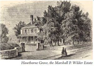 hawthornegrove